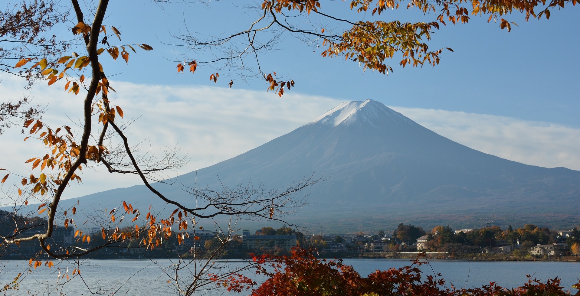 やまなし環境財団