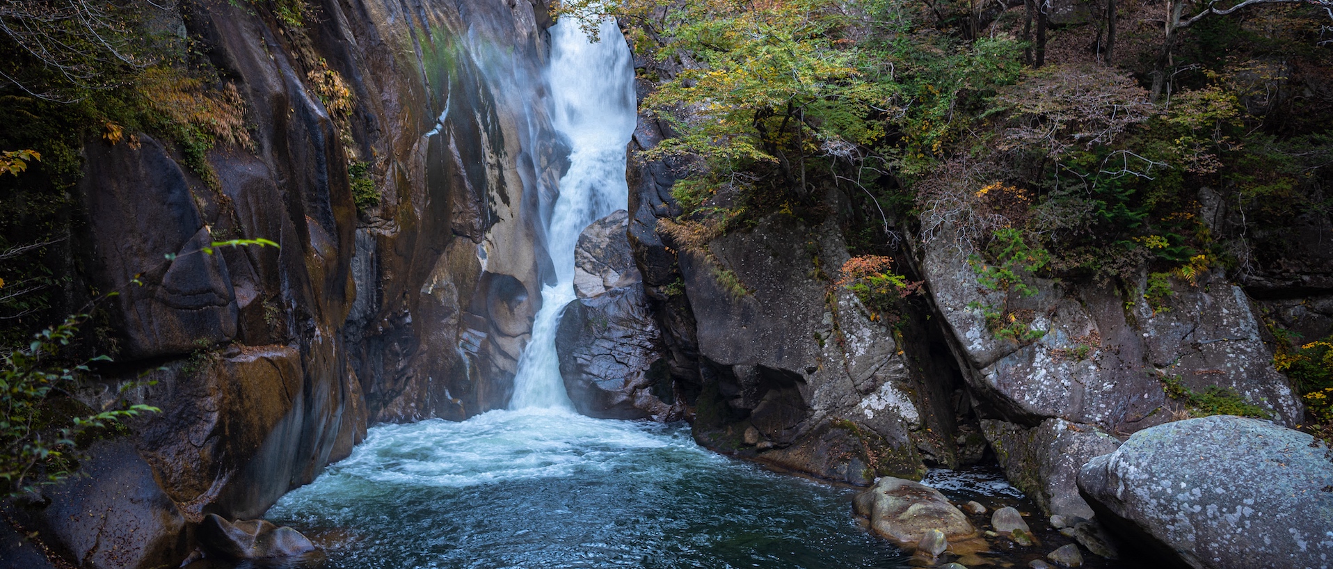 やまなし環境財団
